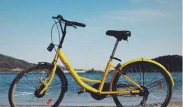 清远小黄车最新爆料信息,揭秘运营幕后真相与未来走向